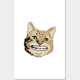 Smiling Cat Posters and Art